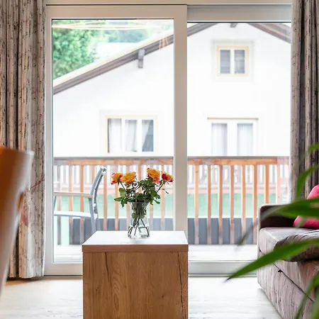 Apartman Apart33 1-30 Haus im Ennstal